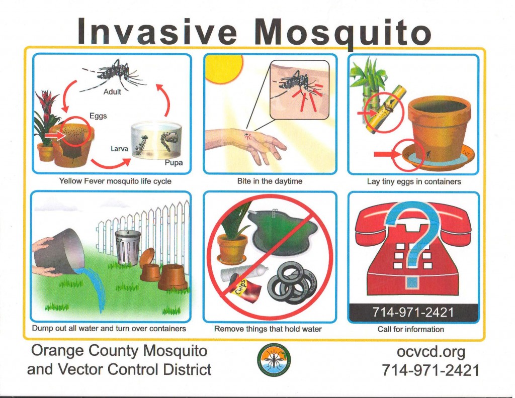 Mosquito Poster